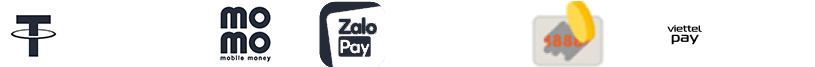 các hình thức thanh toán phổ biến tại nền tảng