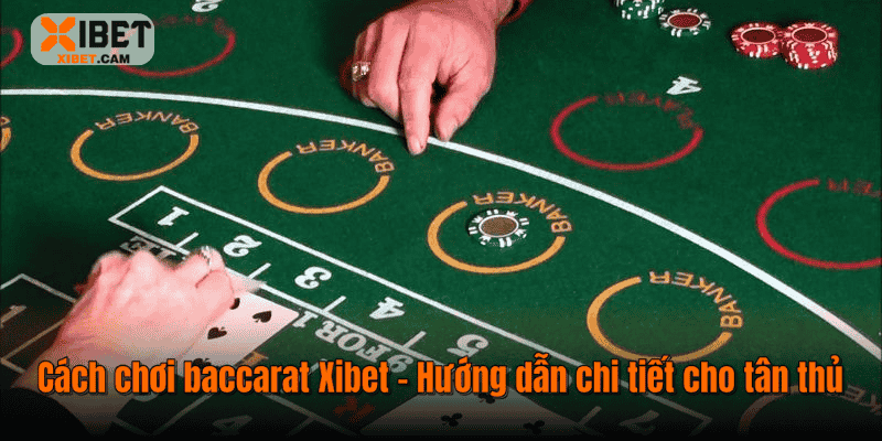 Cách Chơi Baccarat Xibet – Hướng Dẫn Chi Tiết Cho Tân Thủ