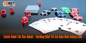 Cách Chơi Tài Xỉu Xibet – Hướng Dẫn Từ Cơ Bản Đến Nâng Cao