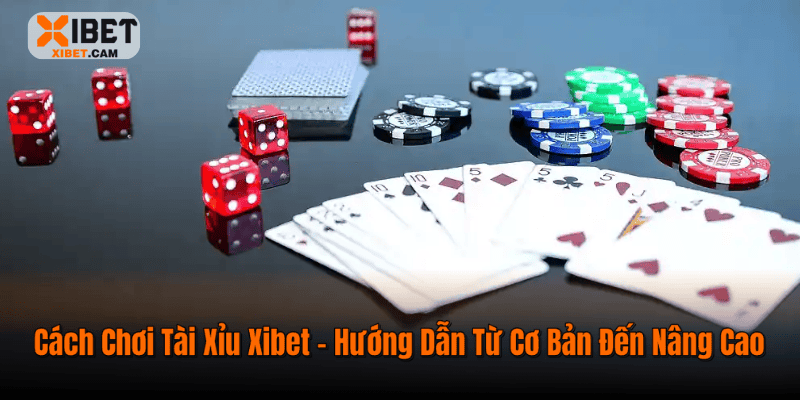 Cách Chơi Tài Xỉu Xibet – Hướng Dẫn Từ Cơ Bản Đến Nâng Cao