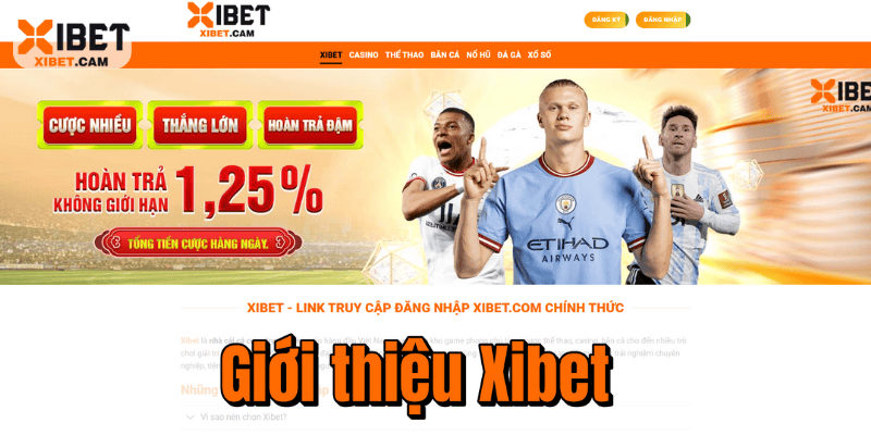 Giới Thiệu Xibet – Điểm Hẹn Giải Trí Online Uy Tín Hàng Đầu