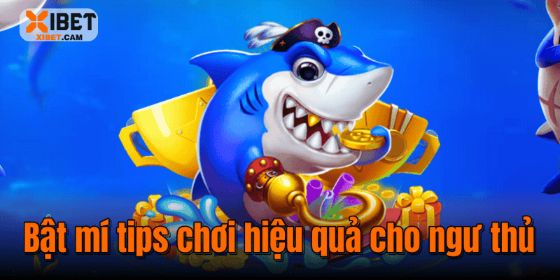 Bật mí tips chơi hiệu quả cho ngư thủ 
