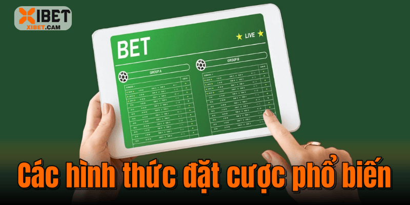Các hình thức đặt cược phổ biến