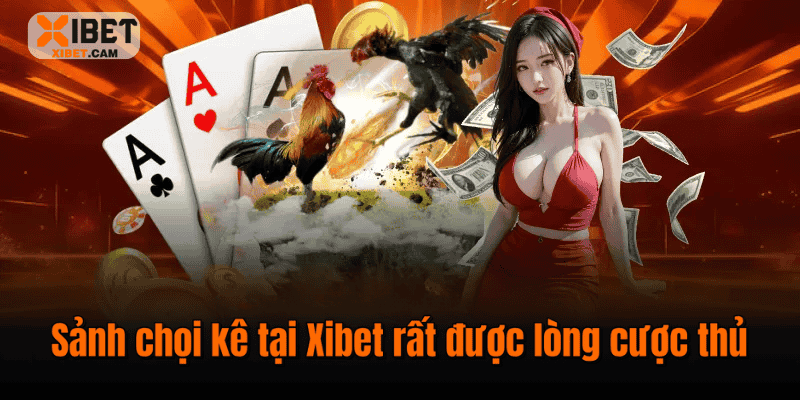 Sảnh chọi kê tại Xibet rất được lòng cược thủ