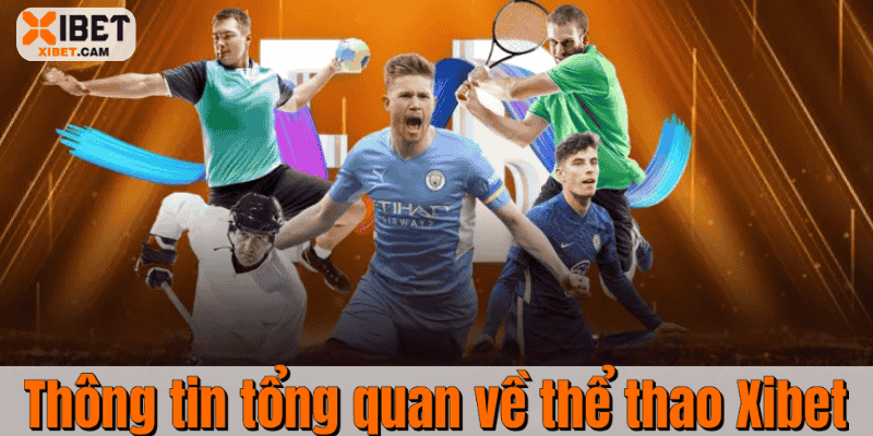 Thông tin tổng quan về thể thao Xibet