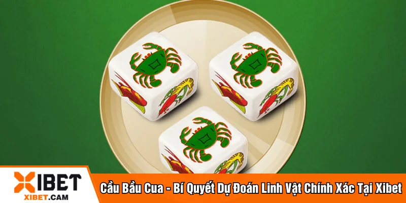 cầu bầu cua