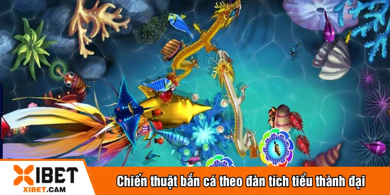 Chiến thuật bắn cá theo đàn tích tiểu thành đại
