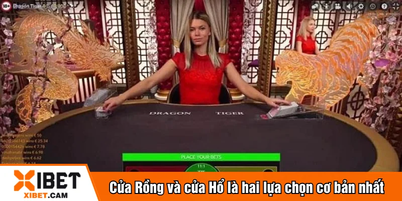 Cửa Rồng và cửa Hổ truyền thống là hai lựa chọn cơ bản nhất 