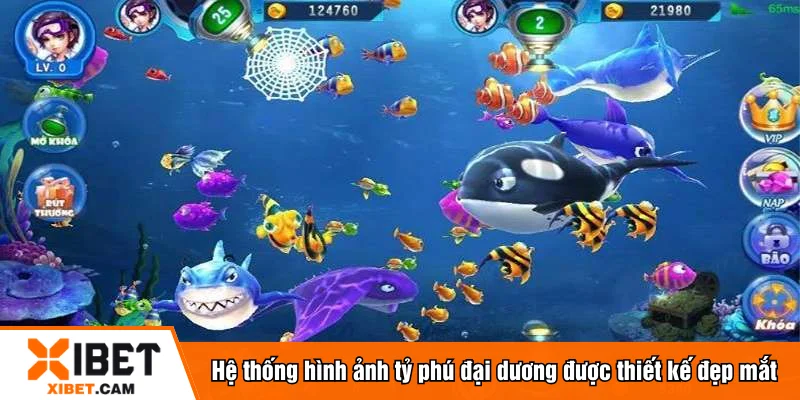 Hệ thống hình ảnh tỷ phú đại dương được thiết kế đẹp mắt