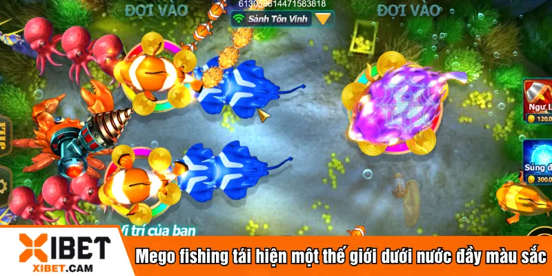 Mego fishing tái hiện một thế giới dưới nước đầy màu sắc
