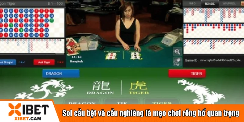 Soi cầu bệt và cầu nghiêng là mẹo chơi rồng hổ quan trọng