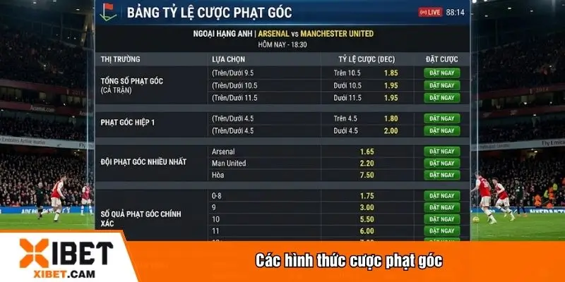 Các hình thức cược phạt góc