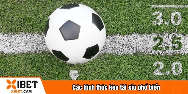 Các hình thức kèo tài xỉu phổ biến
