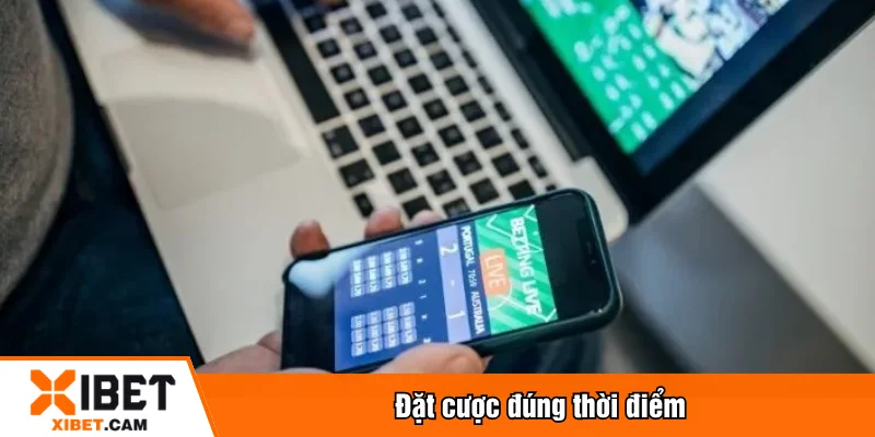 Đặt cược đúng thời điểm
