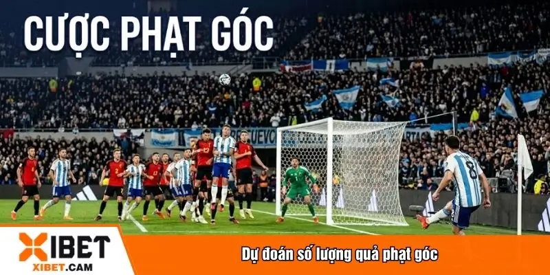Dự đoán số lượng quả phạt góc