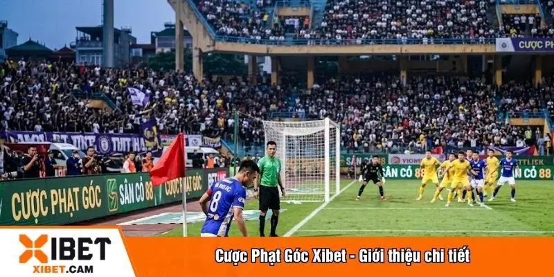 Giới thiệu chi tiết cược phạt góc
