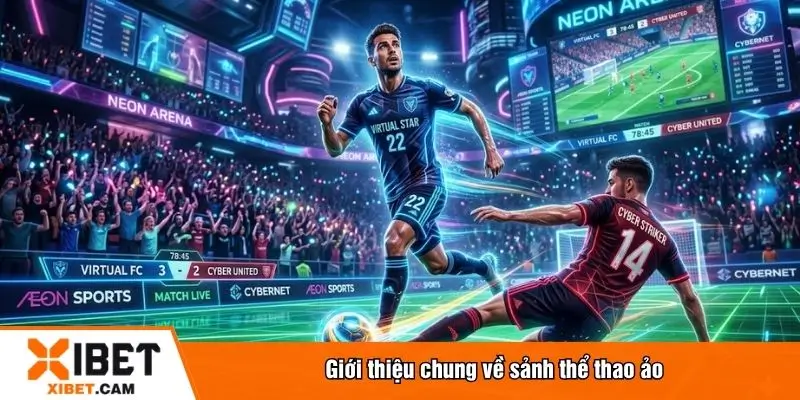 Giới thiệu chung về sảnh thể thao ảo