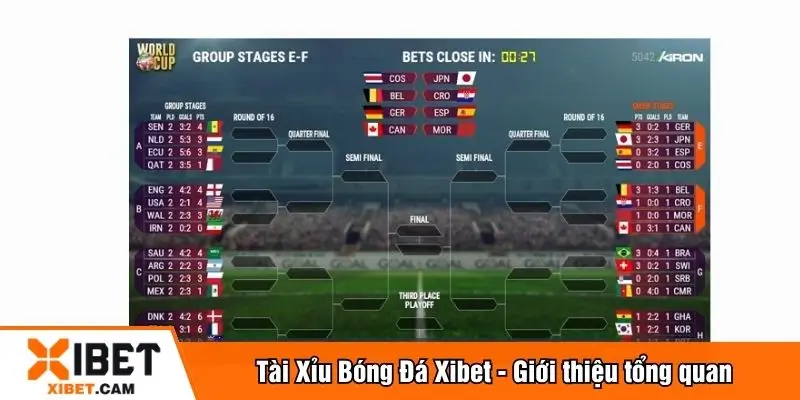 Giới thiệu về tài xỉu bóng đá