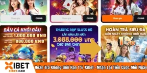 Hoàn trả không giới hạn