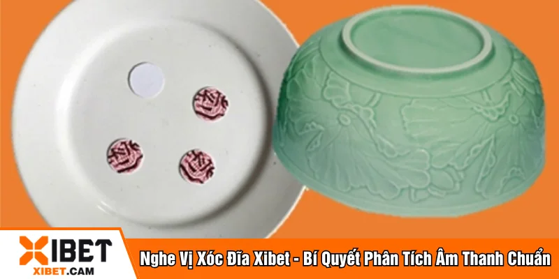 Nghe vị xóc đĩa